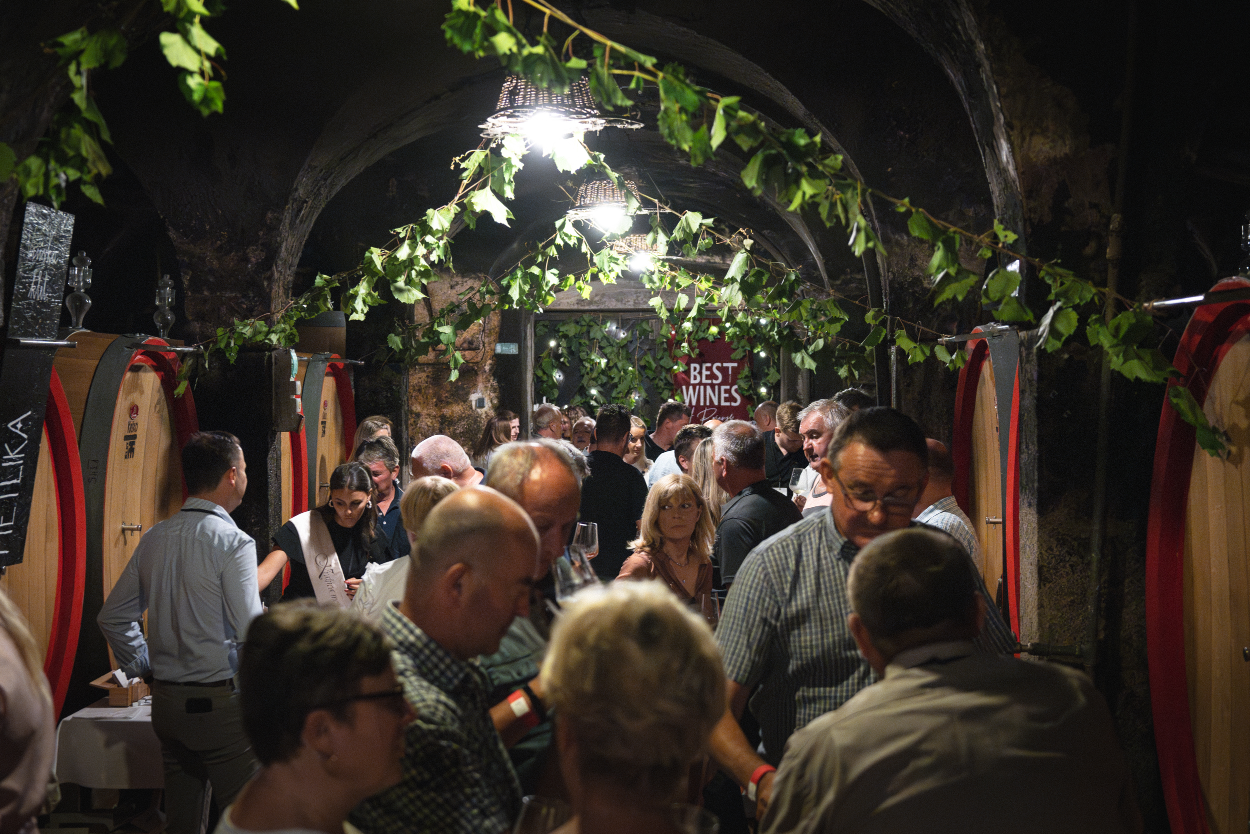 Best Wines of Posavje 2024-21