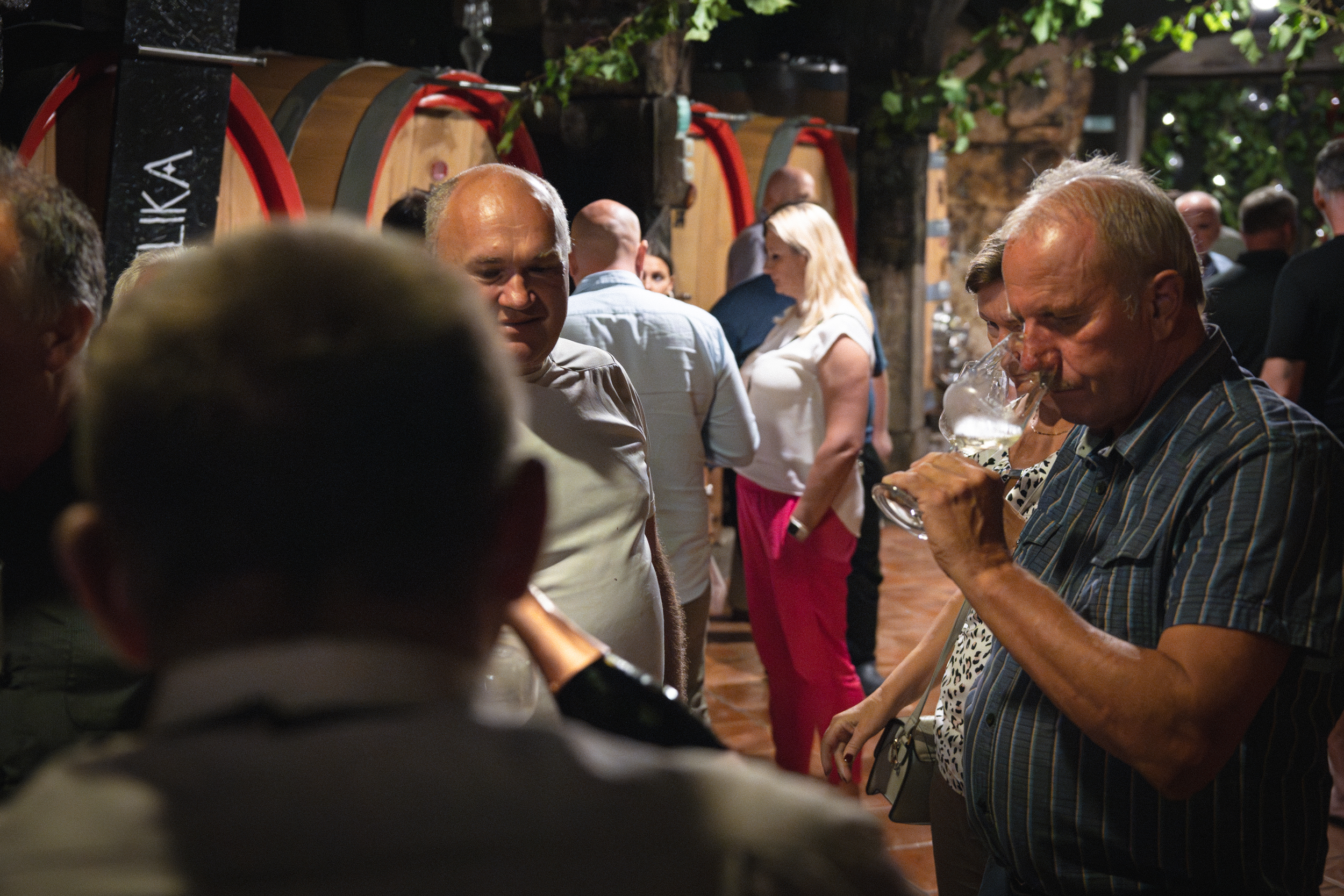 Best Wines of Posavje 2024-23